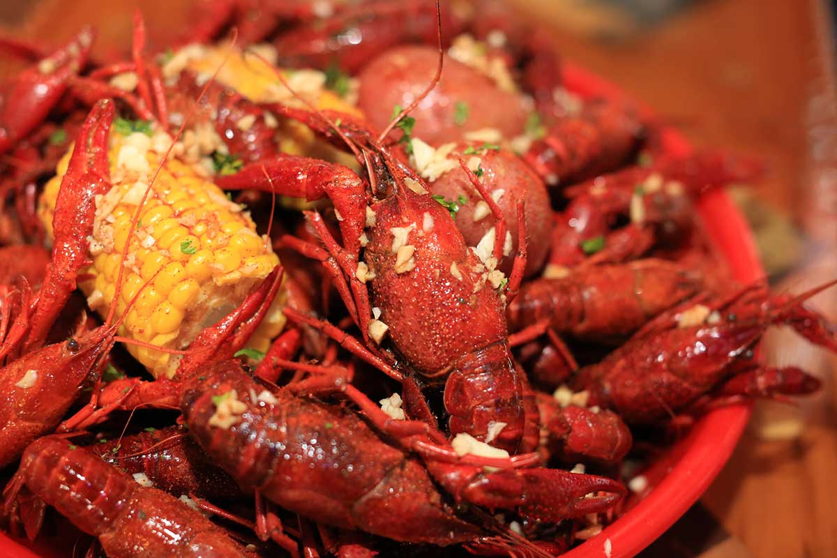 Boiled Crawfish from Bluewater Seafood